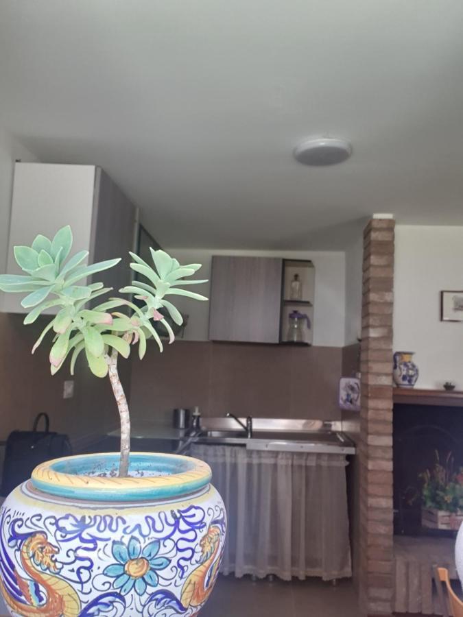 Tavernetta La Lavanda Annessa A Apartment Assisi